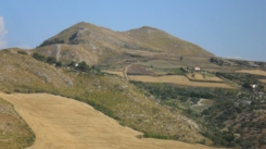 duepizzi
