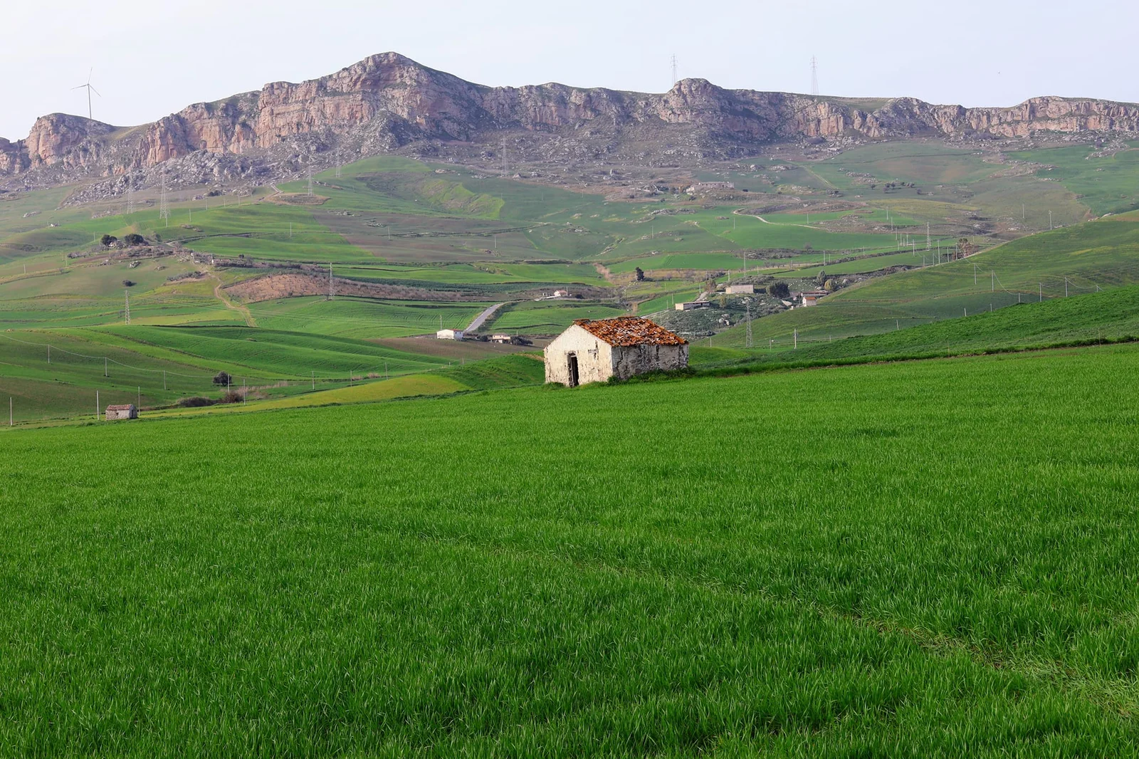 Ciminna – U’ Me Paiseddu